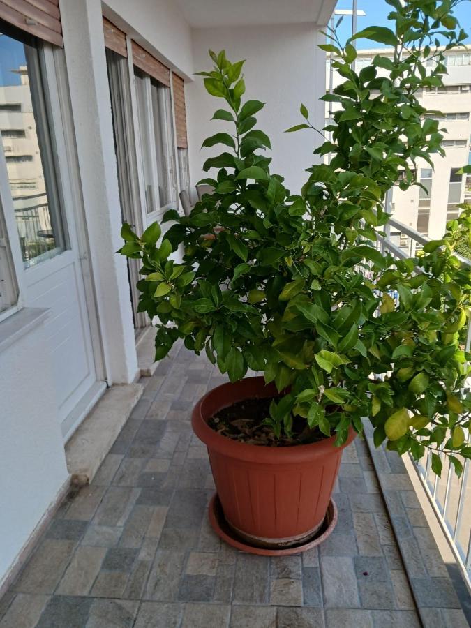 Room With Private Toilet And Terrace In City Center In Shared Apartment Split Exterior photo
